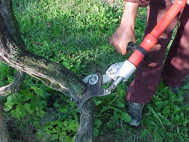 FA-MA Hydraulic Vineyard Loppers — photo 1 of 1