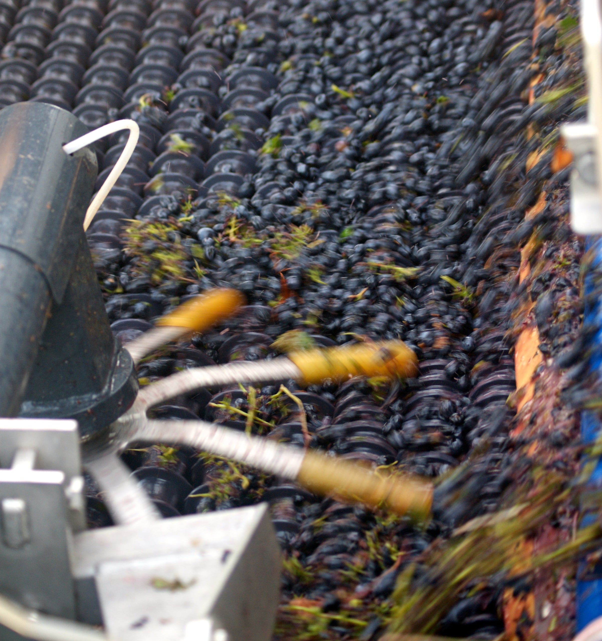 Pellenc Optimum Harvester & Multifunction Tractor — Selectiv' Process 2 harvesting head