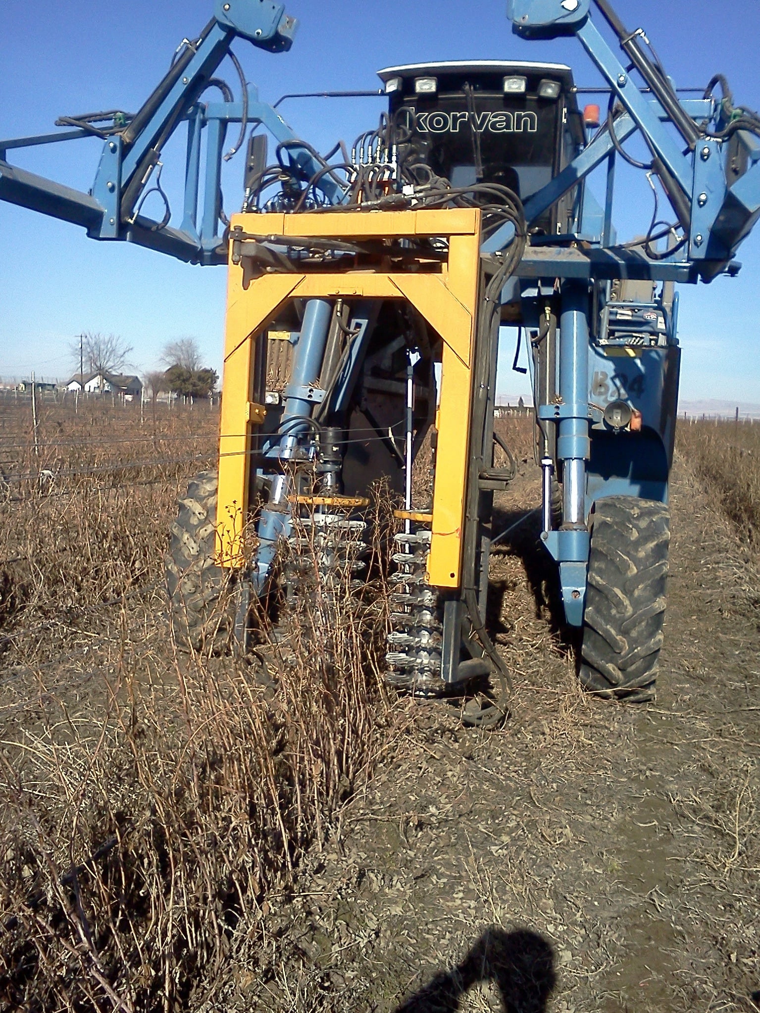 Raspberry Pruner — photo 1 of 3